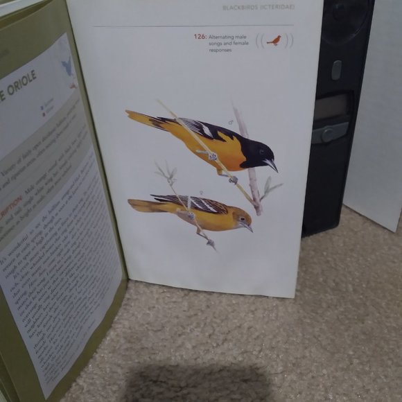 Backyard Birdsong Guide - Picture 4 of 8